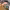https://res.cloudinary.com/billionhands/image/upload/v1774592608/items/qhunw3e61gbe9wsibst7.webp-3cover