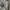 https://res.cloudinary.com/billionhands/image/upload/v1774592612/items/qcxqjhffhfpjxri0noxk.jpg-3cover