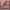 https://res.cloudinary.com/billionhands/image/upload/v1774592613/items/mi5vei7lamwdsyze6iyt.avif-2cover