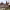 https://res.cloudinary.com/billionhands/image/upload/v1774612865/items/smlokpw7q6ii79d2gihr.webp-1cover