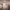 https://res.cloudinary.com/billionhands/image/upload/v1774612916/items/vruwf5smf330g0cnqa2c.avif-2cover