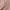 https://res.cloudinary.com/billionhands/image/upload/v1774776390/items/ivyjitkt575bznz9qpnv.avif-3cover