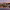 https://res.cloudinary.com/billionhands/image/upload/v1774846651/items/ysq5ploz9oc4xvxw0bjv.avif-1cover
