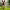 https://res.cloudinary.com/billionhands/image/upload/v1774846685/items/cab2pcmiretarrziotgx.webp-0cover