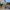 Stables at Burtown House (Leinster) cover