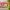 https://res.cloudinary.com/billionhands/image/upload/v1774846687/items/ze3ojnpvagbxt95vp4fq.jpg-2cover
