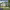 https://res.cloudinary.com/billionhands/image/upload/v1774846699/items/vr67do7uezsodg79ehxs.jpg-3cover