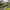 https://res.cloudinary.com/billionhands/image/upload/v1774846712/items/uuqxpljldwc1evozyqb8.jpg-2cover