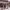 https://res.cloudinary.com/billionhands/image/upload/v1774853357/items/pkp26hwbtnkng3ljeezh.webp-0cover