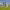 https://res.cloudinary.com/billionhands/image/upload/v1774853401/items/fhb4bhgmqggvxmse1tqe.jpg-0cover