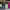 https://res.cloudinary.com/billionhands/image/upload/v1774853405/items/mbczeuitukuwb3ssarqu.jpg-3cover