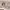 https://res.cloudinary.com/billionhands/image/upload/v1774853415/items/vvvxnoxt6krxazvx7il8.webp-0cover