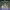 https://res.cloudinary.com/billionhands/image/upload/v1774869077/items/hjjrq001wirf5wgqaz2u.jpg-2cover