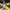 https://res.cloudinary.com/billionhands/image/upload/v1774869204/items/mcglfna5d4zx68oljwsw.jpg-2cover