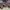 https://res.cloudinary.com/billionhands/image/upload/v1774869205/items/hfyveknhn9ncjinugspo.png-0cover