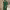LightInTheBox - Elegant Long Dress with Ruched Slit (2026) cover