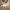 https://res.cloudinary.com/billionhands/image/upload/v1774869323/items/oj0bwrov6klknuod8dhm.jpg-0cover