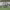 https://res.cloudinary.com/billionhands/image/upload/v1774869348/items/fc5tx8qqaednlcd0r2jy.jpg-3cover
