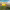 https://res.cloudinary.com/billionhands/image/upload/v1774869457/items/ef4m0vgqcsmgj7xlmtdz.jpg-3cover