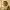 https://res.cloudinary.com/billionhands/image/upload/v1774869457/items/fglvncioya61aqp2gbuo.webp-0cover