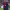 https://res.cloudinary.com/billionhands/image/upload/v1774869457/items/prxhjb0zueqqlv5evnr9.jpg-3cover