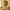 https://res.cloudinary.com/billionhands/image/upload/v1774869458/items/wptrxelwwf4xqmbltm8c.webp-1cover
