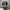 https://res.cloudinary.com/billionhands/image/upload/v1774869460/items/ewkfiatz0cv5tjw2keej.webp-2cover