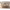 https://res.cloudinary.com/billionhands/image/upload/v1774869473/items/k3cnfei1zkkpal1quulg.png-2cover