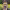 https://res.cloudinary.com/billionhands/image/upload/v1774869530/items/d9xib4xa5etsw3vksgd5.jpg-3cover