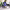 https://res.cloudinary.com/billionhands/image/upload/v1774869724/items/oxpyw2ndbqlsi5d1ux6c.jpg-3cover