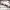 https://res.cloudinary.com/billionhands/image/upload/v1774869820/items/il3b0z2pfdqmiykj5hwm.jpg-1cover