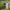 https://res.cloudinary.com/billionhands/image/upload/v1774869885/items/ixxacnlhwev59edjob76.webp-2cover