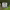 https://res.cloudinary.com/billionhands/image/upload/v1774869886/items/h7sjciokkg5tb0syveue.jpg-2cover