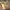 https://res.cloudinary.com/billionhands/image/upload/v1774870210/items/rhw7euiaabdnfuupyqra.webp-3cover