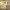 https://res.cloudinary.com/billionhands/image/upload/v1774870344/items/zty2hhutdw5kglfvxavh.jpg-0cover