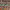 https://res.cloudinary.com/billionhands/image/upload/v1774870723/items/t4s9fqqewfch5rjfefo2.jpg-3cover