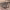 https://res.cloudinary.com/billionhands/image/upload/v1774870773/items/p7l2wgjz3v794glcjp5t.jpg-0cover