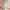 https://res.cloudinary.com/billionhands/image/upload/v1774871188/items/fpuueslubl8inlcdlvv1.jpg-2cover