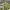 https://res.cloudinary.com/billionhands/image/upload/v1774871304/items/in9acy0vzuui4p4xfwia.jpg-1cover