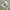 https://res.cloudinary.com/billionhands/image/upload/v1774871309/items/intydcfqnngryrygemqe.jpg-3cover