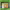 https://res.cloudinary.com/billionhands/image/upload/v1774871823/items/zr47xbikyiuc9stcpsvp.jpg-1cover