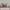 https://res.cloudinary.com/billionhands/image/upload/v1774871913/items/vsa0vhesbeyzphhjzlh5.jpg-2cover