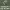 https://res.cloudinary.com/billionhands/image/upload/v1774871919/items/izzzktr4udf2qdisodrf.webp-1cover