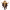 https://res.cloudinary.com/billionhands/image/upload/v1774872015/items/y3cvntzwqrwxwx1itasc.webp-1cover