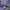 https://res.cloudinary.com/billionhands/image/upload/v1774872018/items/uyu80kafmo6fw3szjemq.jpg-2cover