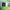 https://res.cloudinary.com/billionhands/image/upload/v1774872042/items/zrlj0hrnqlkdwirtrglh.jpg-2cover