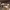 https://res.cloudinary.com/billionhands/image/upload/v1774872072/items/r3cguepkakfvdcf5tib4.jpg-2cover