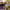 https://res.cloudinary.com/billionhands/image/upload/v1774872093/items/hnlxdvze7yvzclf8mmje.webp-2cover