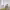 https://res.cloudinary.com/billionhands/image/upload/v1774872151/items/gqxilq0ybb6arpt7nzuv.jpg-2cover
