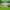 https://res.cloudinary.com/billionhands/image/upload/v1774872178/items/c7fzvrnucoxdfhbhp9bm.jpg-2cover